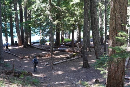 Lower Twin Lake の周りの森林の中に点在しているキャンプサイト